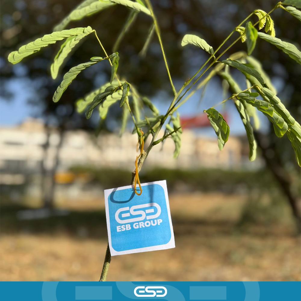 Tree Planting: A Green Step Towards a Sustainable Future